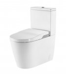 Унитаз-компакт Roca Inspira in-wash (803061001)